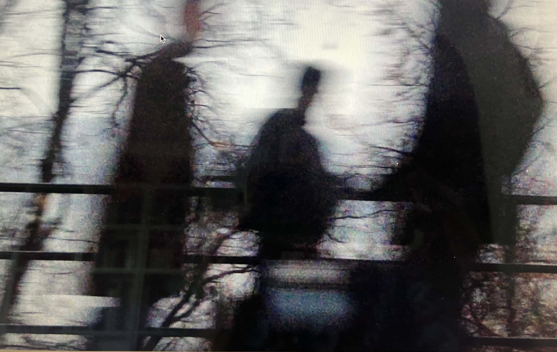 A film still of three blurry figures surrounded by trees