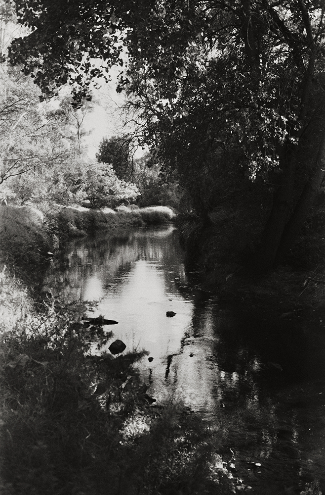 A black and white image of a stream in heavy shadows by trees