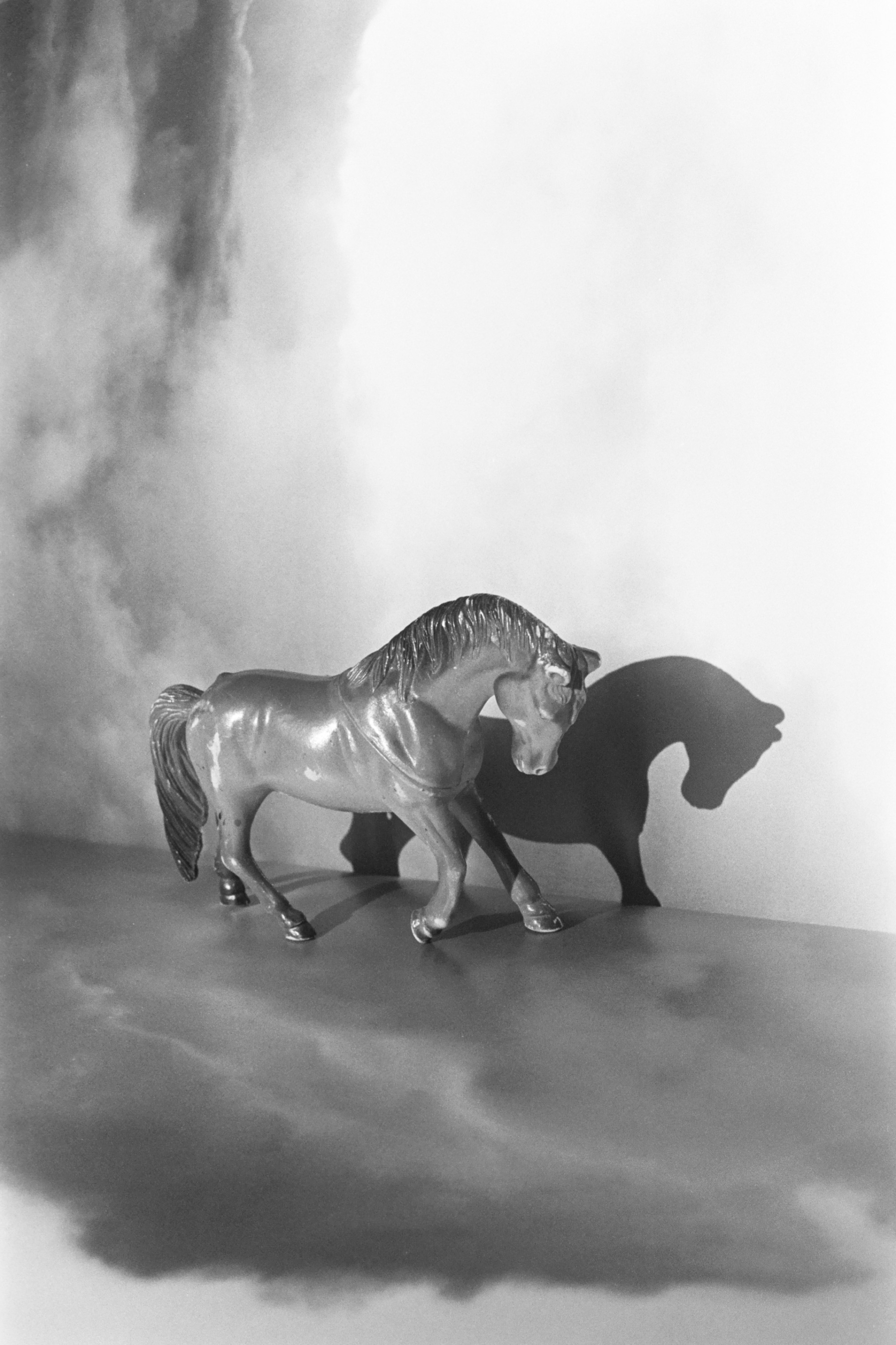A black and white image of a plastic horse in a cloudscape