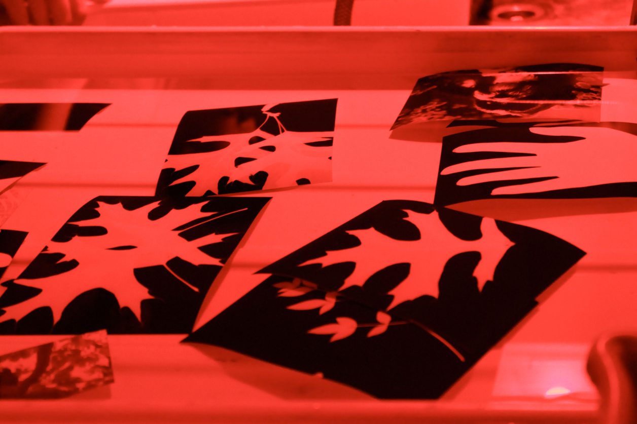 An image of black and white photographs made in the darkroom floating in a water bath, all in red lighting